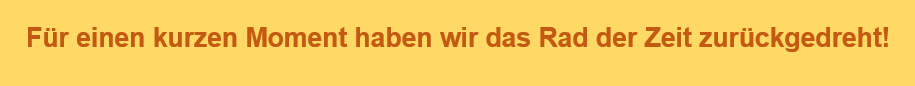 Anleser Video Modul