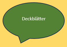Deckblatt