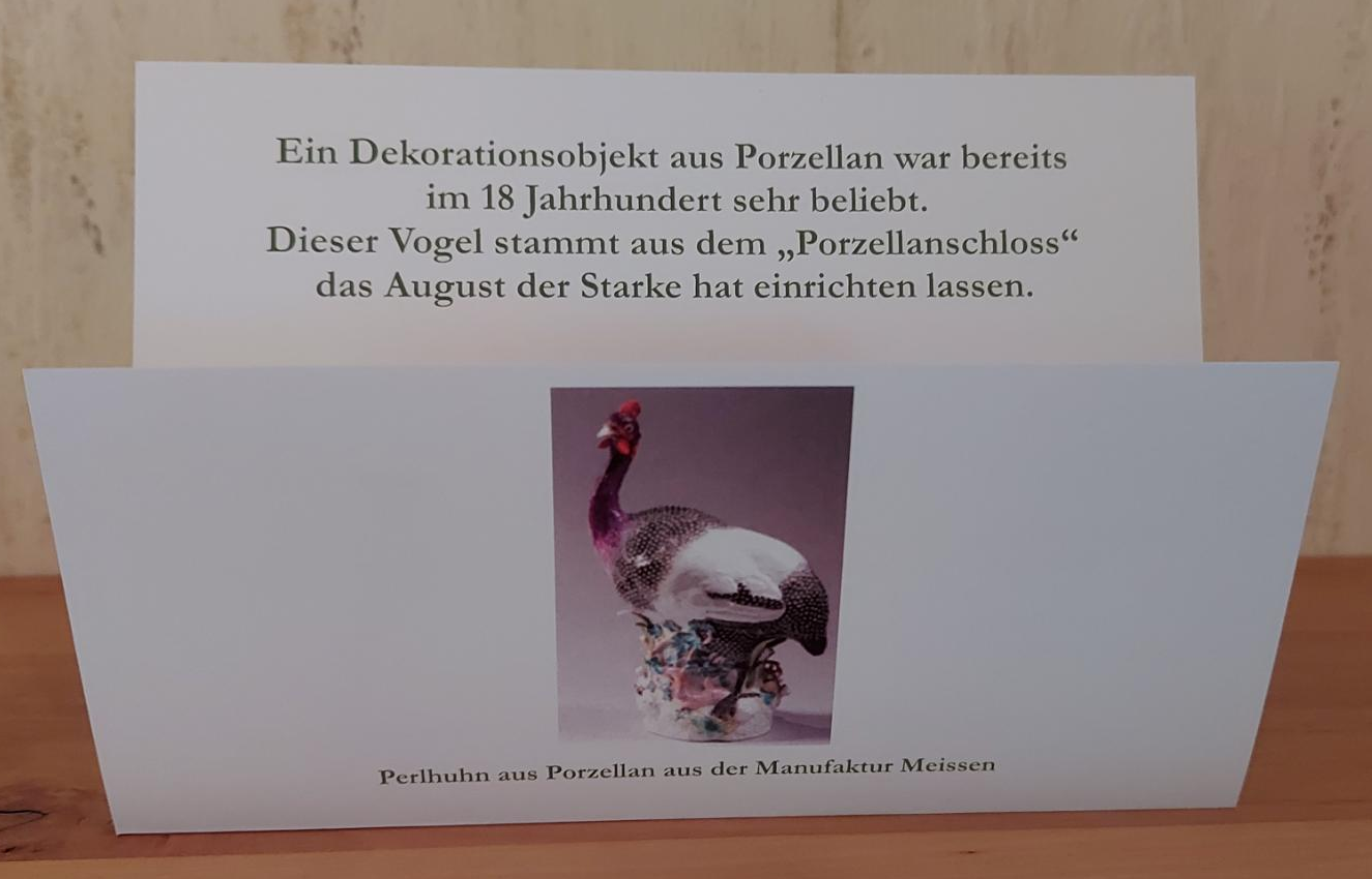 Lernkarte Perlhuhn